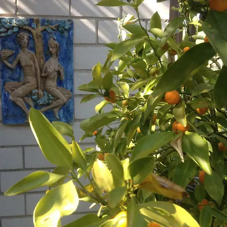 Am Litzelberg Fwo-194-2024 Radolfzell am Bodensee