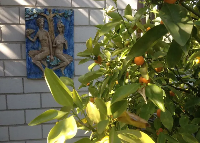 Am Litzelberg Fwo-194-2024 Radolfzell am Bodensee